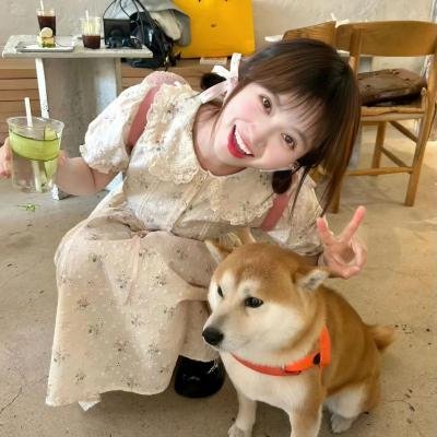 我是格鲁特第一季